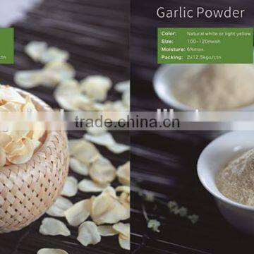 garlic seasoning 16-26 mesh40-80mesh /Garlic granule/White Garlic/vegetarian seasoning