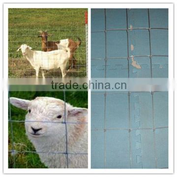 galvanized goats use mesh