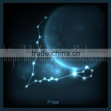 pisces constellation led canvas wedding decor gift