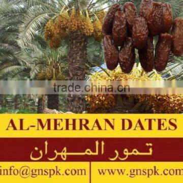 Bleached Dried Dates High Quality Healthy GMO-FREE Fruit Products by GNS Pakistan