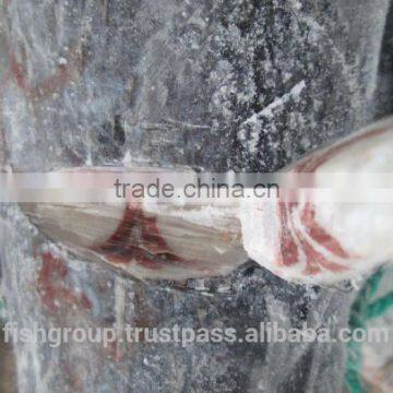 SEAFROZEN BLACK MARLIN DWT photo-4