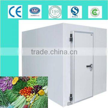 Cold Room Double Swing Door With pu Panel photo-4