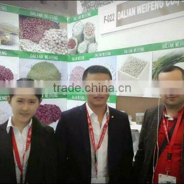 2016 Chinese Pine Nuts Without Shell for Export photo-4