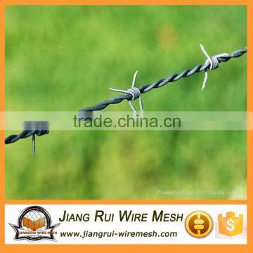 galvanized barbed Wire (ap manufacturer)