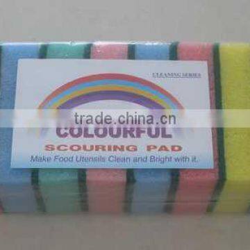 Scouring sponge