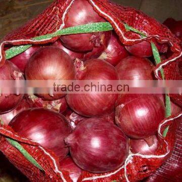 Red Onion ( Fresh ) Available Throughout the Year photo-5