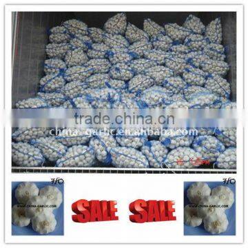 Plastic PP Leno Mesh Bag Supplier/Exporter