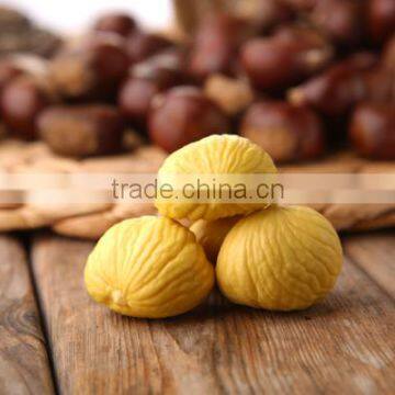 Fresh Chestnut photo-2