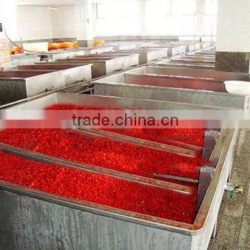 New Crop Dried Cherry for Hot Sale/red Cherry Lashes photo-5