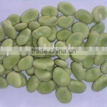 IQF green fava bean