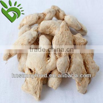 Professional manufacturer air dried ginger