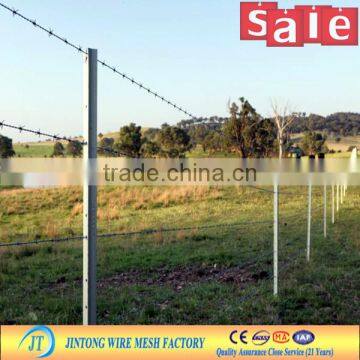 double twisted barbed wire electro galvanized iron barbed wire barbed wire post