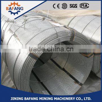 Stranded Galvanized Steel Wire With the Best Price in China