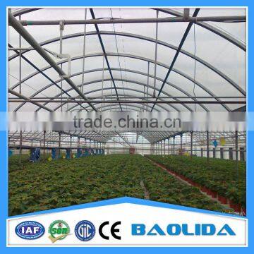 Vegetable Greenhouses for Sale 200 Micron Greenhouse Film/vegetable Seeds Greenhouse photo-3