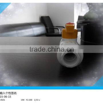 Good Price Ppr Plastic Double Union Plastic Ball Valve photo-5