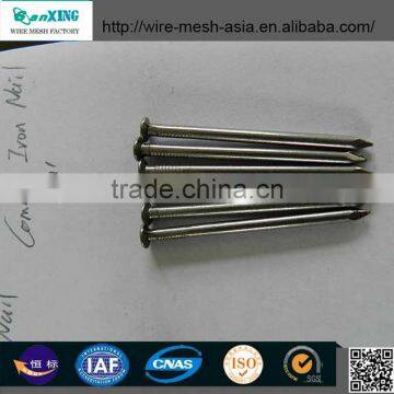 Common Nail Sns Nail Paslode Nail Gun photo-3