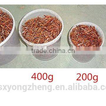 Drum (100g/200g/400g/800g) Freeze Dried Locusts For Pet Birds Food Manufacturer