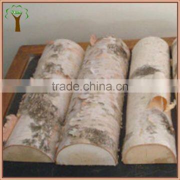 Artificial Birch Logs and Fake Birch Trunk for Indoor Decoration photo-2