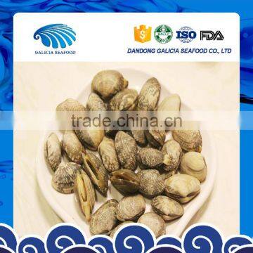 Fresh Frozen Boiled Clam Variety Shell-On