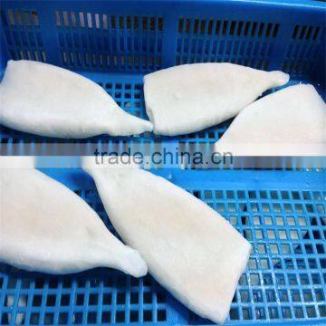 High Quality Pacific Squid Tube (Todarodes Pacificus) photo-5