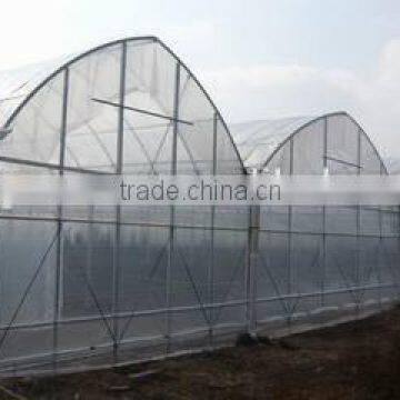 Economical Plastic Film Multi Tunnel Greenhouse for Sale