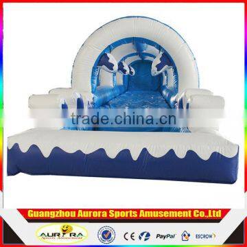 2017 Hot Commercial giant inflatable water slide with climbers, Inflatable Pool Slide from Professional Manufacturer