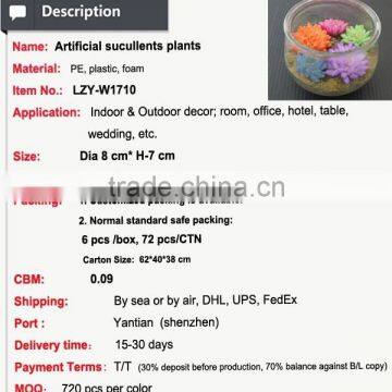 Mini Artificial Succulent Plants in Glass Bowl Potted Mini Succulents photo-3