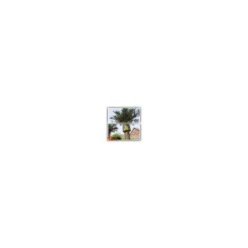 Wholesale Plastic Wood Fiberglass Outdoor Artificial Mini Palm Trees photo-4