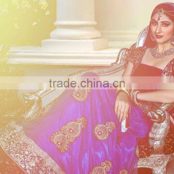 Exquisite Fusion Designer Semi Stitch Lehenga Collections Series
