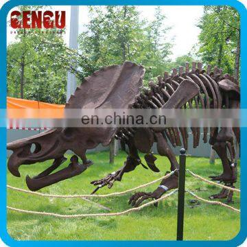 High Simulation Dino Fossil Fiberglass Dinosaur Skeleton