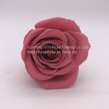 Top Quality Long Lasting Roses Real Preserved Roses Wholesale From Kunming Yunnan photo-2