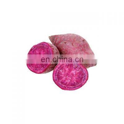 Factory Price for Dried Purple Sweet Potato Powder photo-2