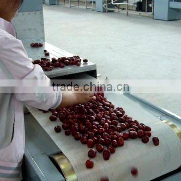 Automatic Vegetable Microwave Drying Machine photo-5