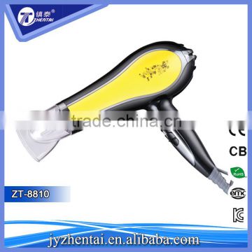 Personalized Spray Dryer, Fashion Pro Hair Dryer with Patterns