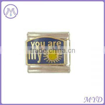You Are my Sunshine Italian Charms for Bracelet Links photo-2
