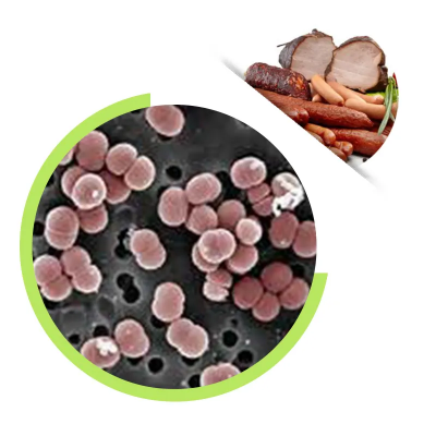 Healthdream Sale Food Grade Pediococcus Pentosaceus High-activity Freeze Dried Probiotics Powder For Sausages