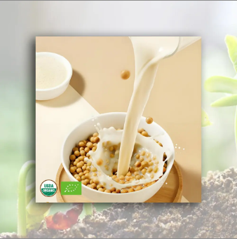 Organic Soybean Milk Powder photo-5