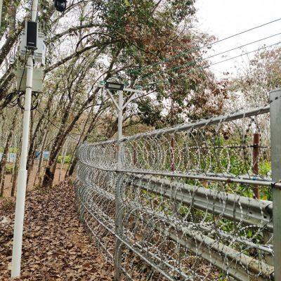 Galvanized Steel Razor Mesh Razor Wire for Garden Wall Farm photo-6