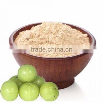 Best Quality Amla Powder Bulk Seller