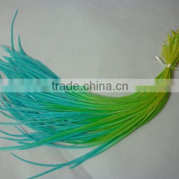 Most popular hair product beautiful cheap top quality real rooster feathers