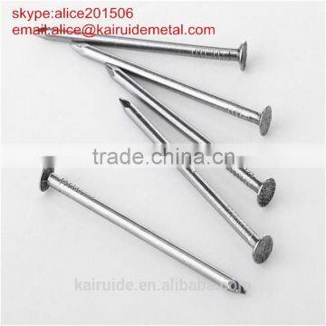 Common Nail/Iron Nail/iron Nail Factory