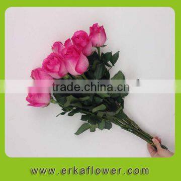 Cut Flower/Fresh Cut Flower/Rose/Rose Flower/Flower Rose for Wedding