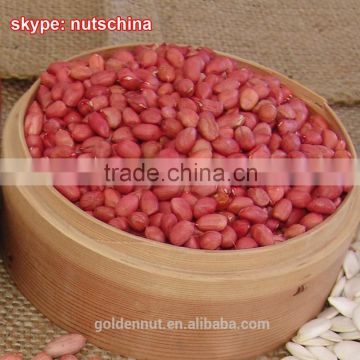 chinese peanuts FOR ALBANIA KOSOVO MACEDONIA GEORGIA UAE IRAN IRAQ SAUDIARABIA TUNISIA ALGERIA ARMENIA