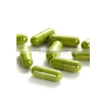 Super Organic Moringa Oleifera Capsules for Bulk Suppliers