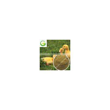 Wholesale High Protein Amino Acid Animal Feed