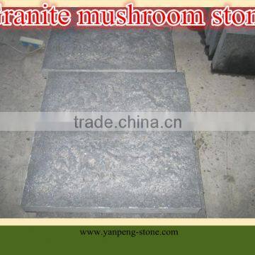 granite mushroom stone