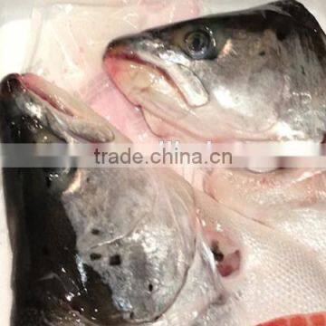 frozen fresh atlantic salmon heads