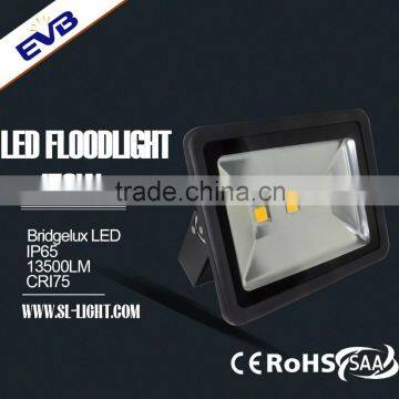 3 Years' Warranty Bridgelux COB Chip High Quality IP65 150W Led Projector Lamp