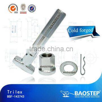 Baostep Excellent Quality Cold Forged Forged T Bolt
