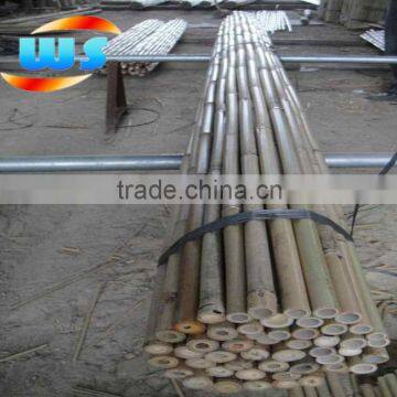 Bamboo cane support plant 305cm X24-26mm